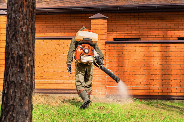 Trusted Emergency Pest Control service in Waconia, MN - Nex Pest Control